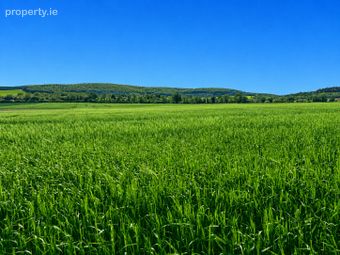 130 Acres, Brackna, Athy, Co. Kildare, Stradbally, Co. Laois - Image 2