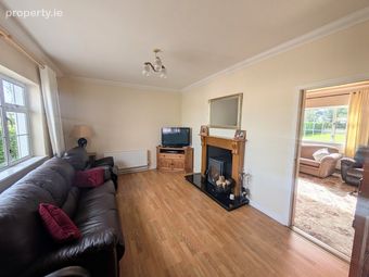 Ballyhaden, Borrisokane, Co Tipperary, Borrisokane, Co. Tipperary - Image 4