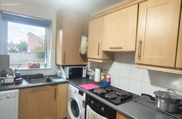 Geraldstown Woods, Ballymun, Dublin 9 - Click to view photos