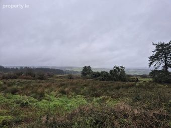 Caherlevoy, Mountcollins, Co. Limerick