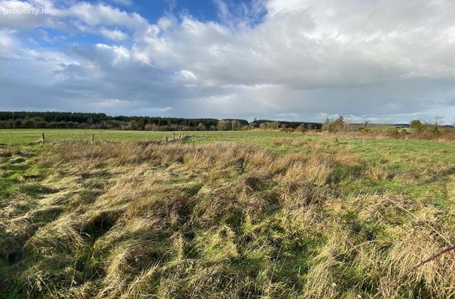 Boolyglas, Hugginstown, Co. Kilkenny, Hugginstown, Co. Kilkenny - Click to view photos