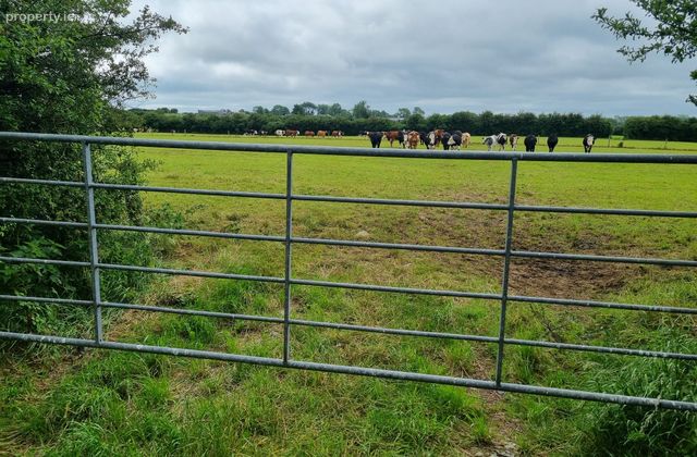 Rathmore North, Meanus, Co. Limerick - Click to view photos