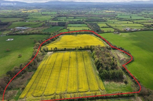 Silverfort, Fethard, Co. Tipperary - Click to view photos