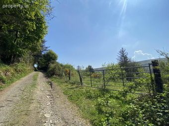 Curreeney, Kilcommon, Thurles, Co. Tipperary, Curreeny, Co. Tipperary - Image 5