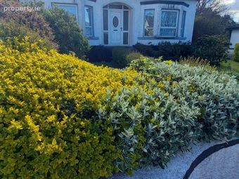 Gortahork, Letterkenny, Falcarragh, Co. Donegal - Image 3