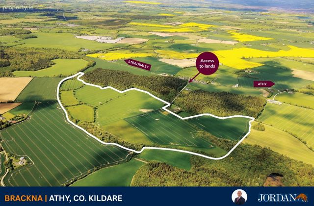 130 Acres, Brackna, Athy, Co. Kildare, Stradbally, Co. Laois - Click to view photos