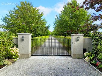 Stone Cross, Eadestown, Naas, Co. Kildare, Naas, Co. Kildare - Image 2
