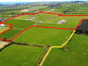 Hazel Beech, Hamlinstown Road, Ballymakenny, Ballymakenny, Co. Louth