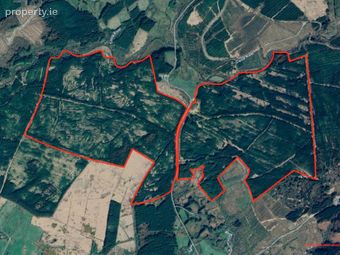 351 Acres Of Forestry Land Gortaderra, County Clare, Scarriff, Co. Clare - Image 5