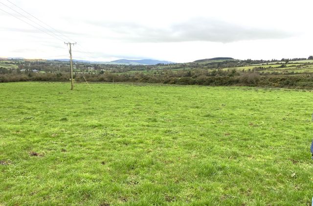Moreabbey, Galbally, Kilross, Co. Tipperary - Click to view photos