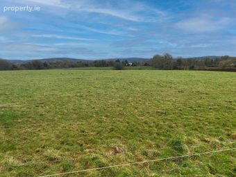 Ballymackeogh, Newport, Co. Tipperary, Newport, Co. Tipperary - Image 2