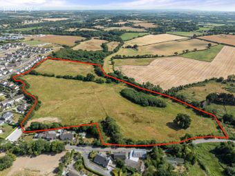 C. 8.7 Hectares / 21.9 Acres At Carley's Bridge, Enniscorthy, Co. Wexford - Image 4