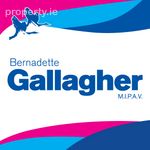 Gallagher Auctioneers Ltd