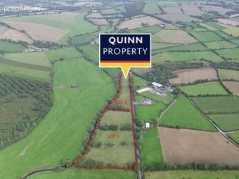 Ballingate (c. 12 Acres), Carnew, Co. Wicklow, Carnew, Co. Wicklow - Image 2