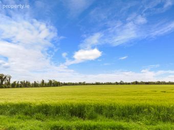 Hortland, Donadea, Co. Kildare - Image 3