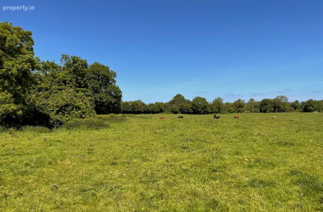 Drumquin, Teermaclane, Co. Clare - Click to view photos