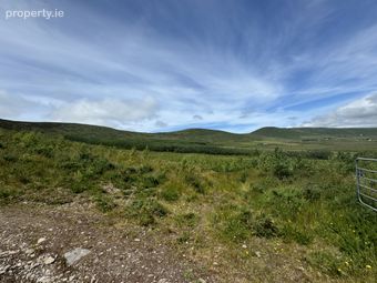 Ref 1128 - Forestry Lands, Maulin, Aghatubrid, Cahersiveen, Co. Kerry - Image 3