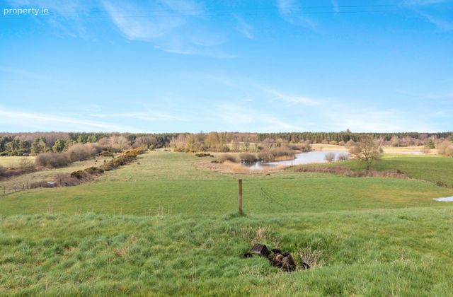 Ballinvalley, Delvin, Delvin, Co. Westmeath - Click to view photos