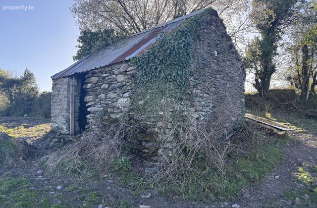 Lands &amp; Ruin, Ardsheelhane West, Sneem, Co. Kerry - Click to view photos