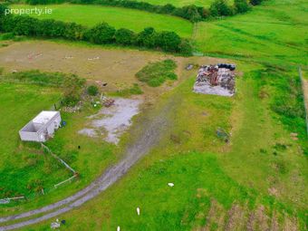 Blackwood Equestrian Centre, Derrymahon, Timahoe East, Co Kildare, Coill Dubh, Co. Kildare - Image 5