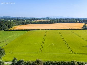 Lot 1 - South Land At Lisnavagh, Lisnavagh, Co Carlow, R93 K162, Rathvilly, Co. Carlow - Image 2