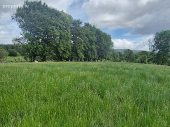 Leaghort House, Leaghort, Caher, Co. Clare, Kilclaran, Co. Clare - Image 3