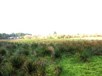 Lagoo, Moyglass, Co. Galway - Image 2