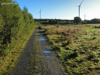 Kilcoran, Moyne, Co. Tipperary - Image 5