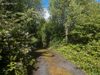 Faha East, Adrigole, Adrigole, Co. Cork - Image 4