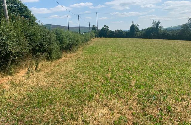 Ballinagilky, Hacketstown, Co. Carlow - Click to view photos