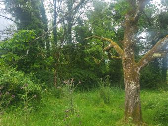 Lavagh, Drumsna, Co. Leitrim - Image 5