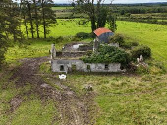 Baslick, Castlerea, Co. Roscommon, Tully, Co. Roscommon - Image 3