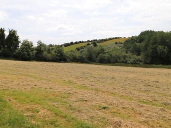 Lisnakeeny, Magheracloone, Carrickmacross, Co. Monaghan - Image 4