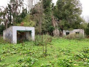 Dromsallagh, Cappamore, Co. Limerick - Image 3