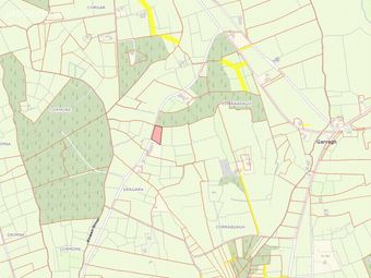 Corrabeagh, Gorvagh, Mohill, Co. Leitrim, Gorvagh, Co. Leitrim - Image 3