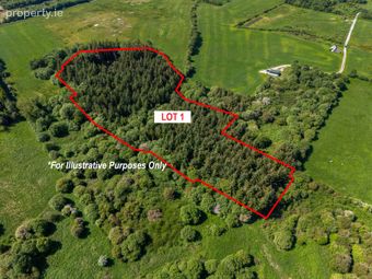 Lot 1, Gallen, Ferbane, Co. Offaly - Image 3