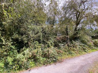 Lemonfield, Oughterard, Co. Galway