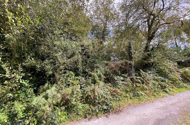 Lemonfield, Oughterard, Co. Galway - Click to view photos