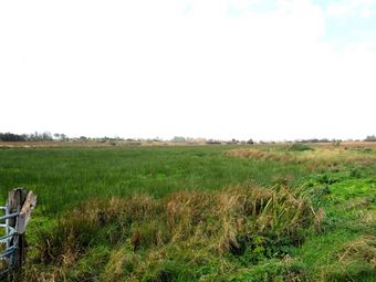 Bellayarha South, Loughrea, Co. Galway - Image 2