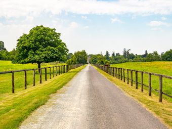 Rahinstown Estate, Summerhill, Co. Meath, Summerhill, Co. Meath - Image 5