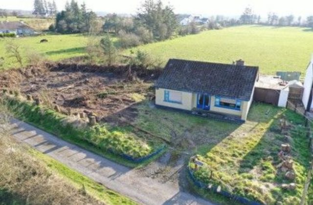 Pine Wood, Cloonmaul, Loughglynn, Loughglynn, Co. Roscommon - Click to view photos