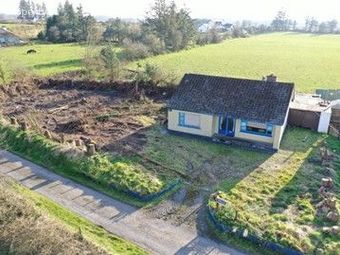 Pine Wood, Cloonmaul, Loughglynn, Loughglynn, Co. Roscommon