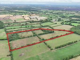 Drummond, Rosenallis, Co. Laois - Image 4