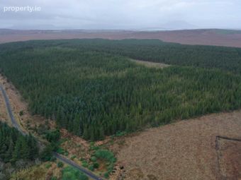 C. 53.3 Acres Of Forestry, Castlehill, Ballycroy, Co. Mayo, Ballycroy, Co. Mayo - Image 3