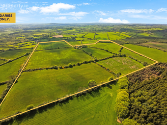 Losset, Moynalty, Co. Meath - Image 2