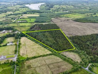 C.8.58 Acres Of Mature Forestry At Ballyglass East, Loughglynn, Co. Roscommon, Loughglynn, Co. Roscommon - Image 2