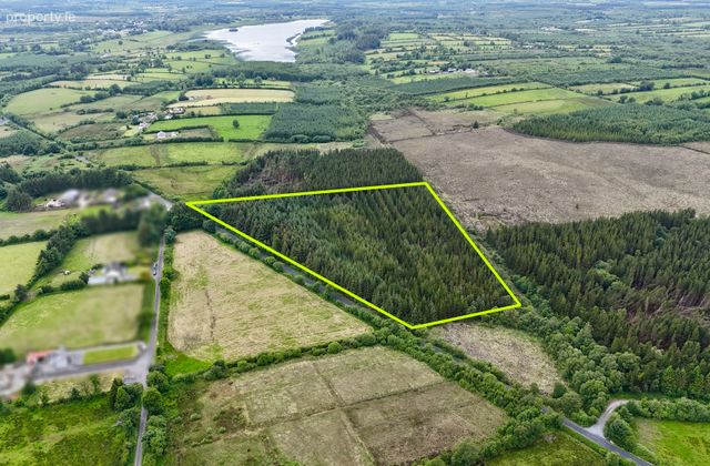 C.8.58 Acres Of Mature Forestry At Ballyglass East, Loughglynn, Co. Roscommon, Loughglynn, Co. Roscommon - Click to view photos