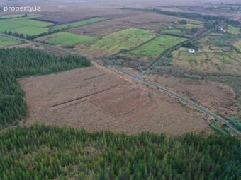 C. 53.3 Acres Of Forestry, Castlehill, Ballycroy, Co. Mayo, Ballycroy, Co. Mayo - Image 2