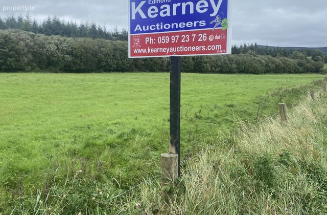 Ballinree, Bagenalstown, Co. Carlow - Click to view photos