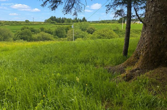 Lyrecompane, Dromadda More, Listowel, Co. Kerry - Click to view photos